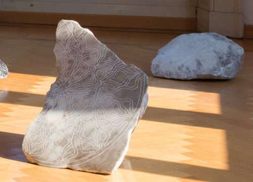 Caterina Giansiracusa, Sezione Under35, Premio Internazioanle Bugatti-Segantini, Villa Vertua, 2017 – Foto di Maurangelo Quagliarella
